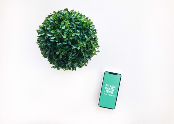 Clean top view of iPhone X