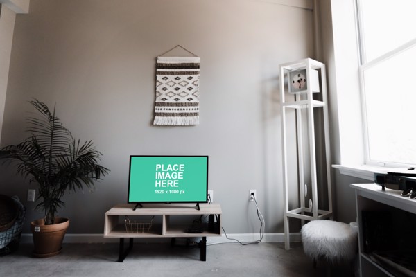 TV standing in living room