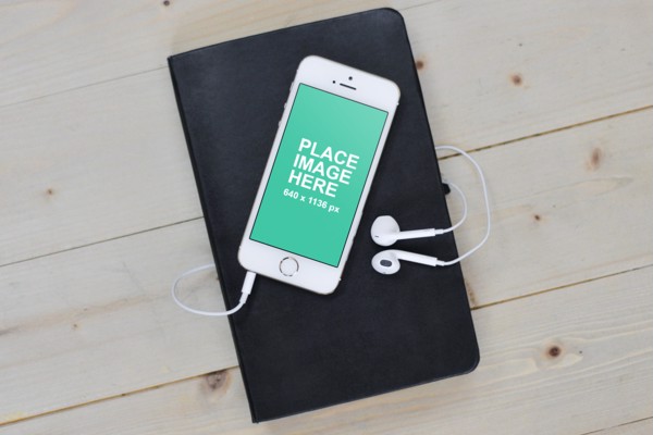 White iPhone 5S