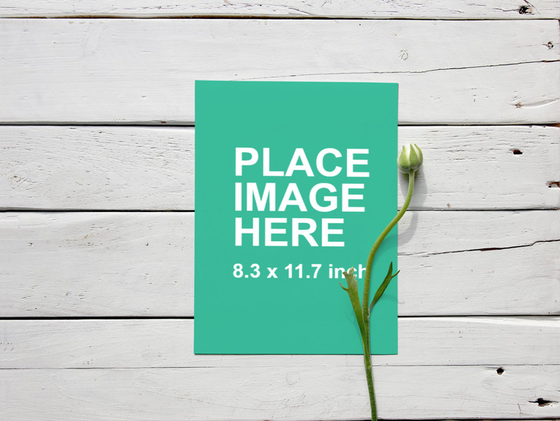 A4 paper on white table
