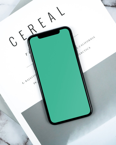 Closeup of iPhone X