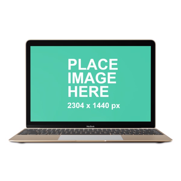 Front faced Gold MacBook