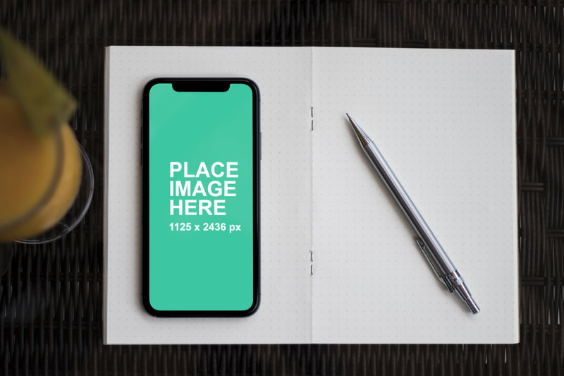 iPhone X on notebook