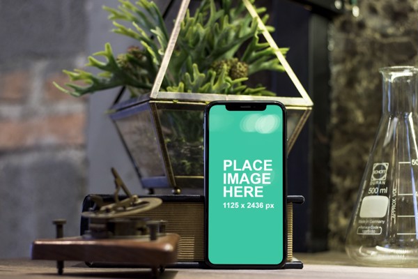iPhone X with plant