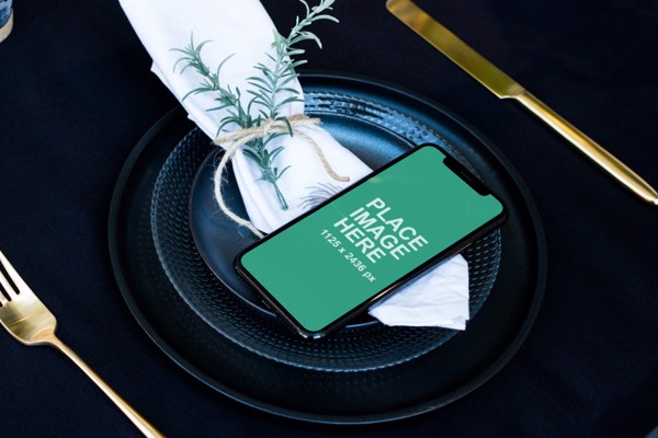 iPhone X on plate