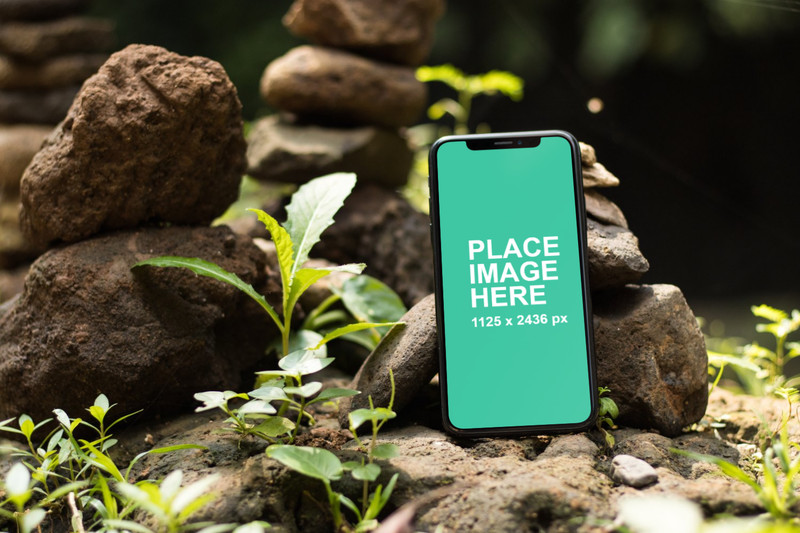 iPhone X in nature