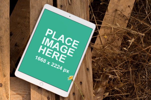 iPad Pro outside