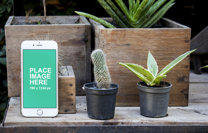 iPhone 6 with plants