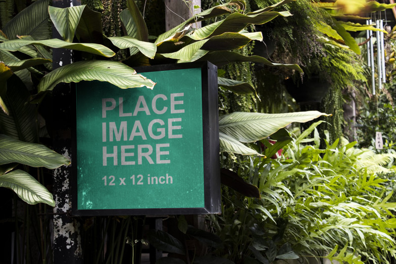 Square frame in nature