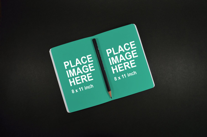 Double sided book