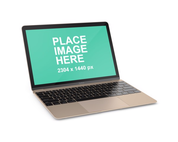 Right faced Gold MacBook