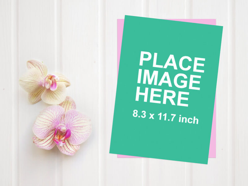 Top view of A4 paper and flowers