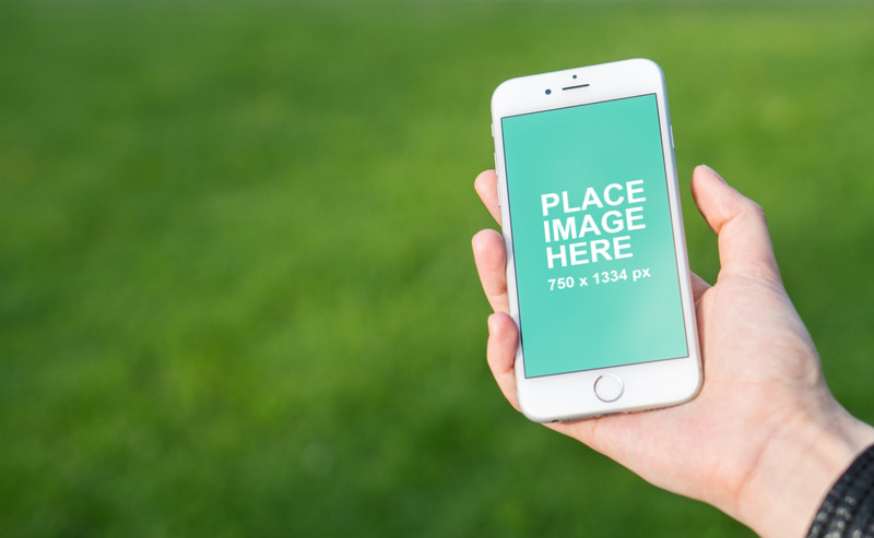 White iPhone 6 in hand