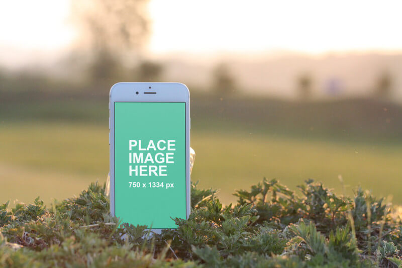 White iPhone standing in grass