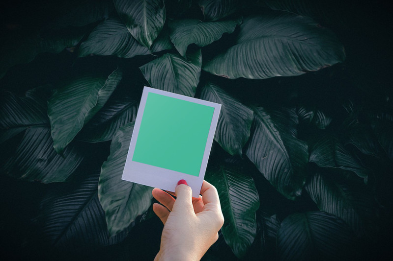 Woman holding instant photo